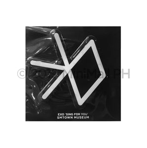 EXO 'Sing For You' Portrait Magnet